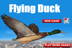 Flying-Duck